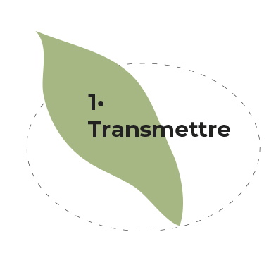 Conférences - 1h30 “Les arbres remarquables de Bretagne” “Les arbres sont-ils intelligents ?” “Les arbres sacrés de Bretagne” > POUR EN SAVOIR + Formations - A la journée “Gestion et soins aux arbres” “Le droit de l’arbre” “Choisir une essence” “La symbolique de l’arbre”