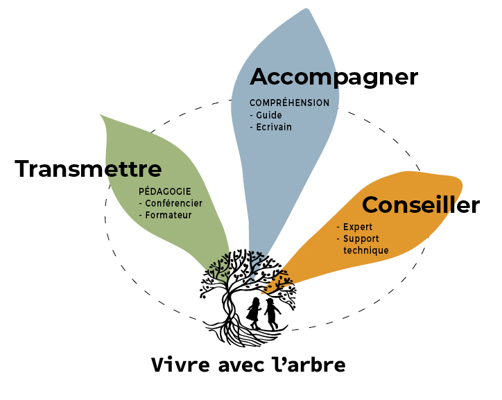 VIVRE AVEC L'ARBRE Une approche sensible et scientifique - Mickaël Jézégou