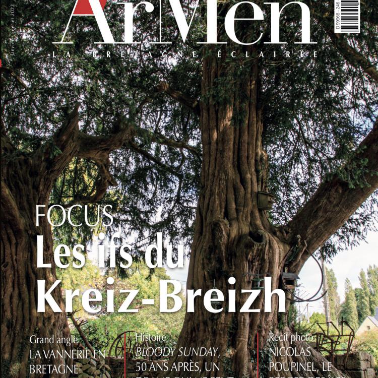 Armen - ARBRES REMARQUABLES DE BRETAGNE. LES IFS DU KREIZ-BREIZH