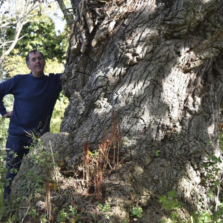 Mickaël Jézégou - Vivre avec l'arbre