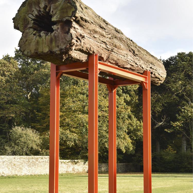 Art contemporain - Vivre avec l'arbre